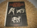 Болести по новородените и подрастващите животни - 1978 г., снимка 1