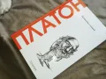 ПЛАТОН 2810241611, снимка 6