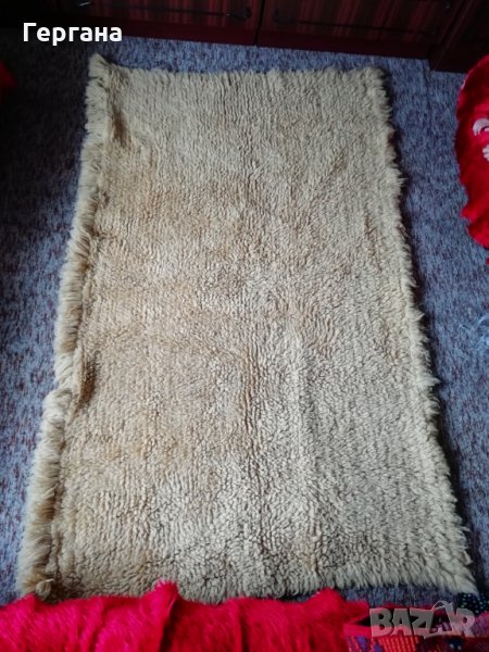 Китеници/губери/, снимка 1