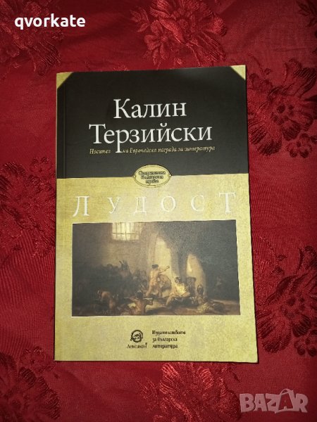 Лудост - Калин Терзийски , снимка 1