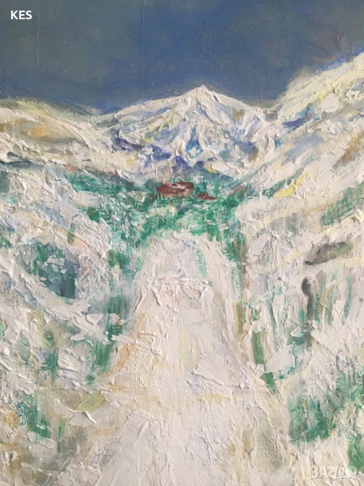 Мальовица, снимка 1