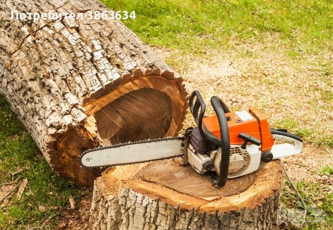 Рязане на стари високи ниски дървета по дворове градини и др. Добрич, снимка 1