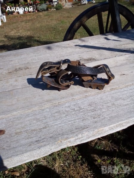 Стари котки #3, снимка 1