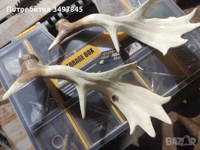 Изкуствени рога за декорация 