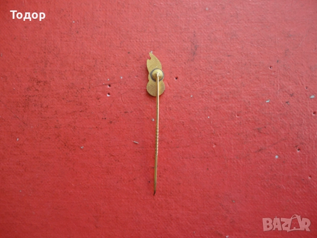 Пожарникарска значка знак бронз емайл 1, снимка 5 - Колекции - 52670707