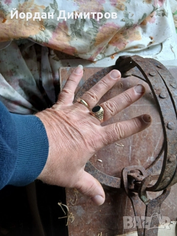 ГОЛЯМ КАПАН ЗА ХИШНИЦИ С ШИПОВЕ, снимка 2 - Други инструменти - 52327069