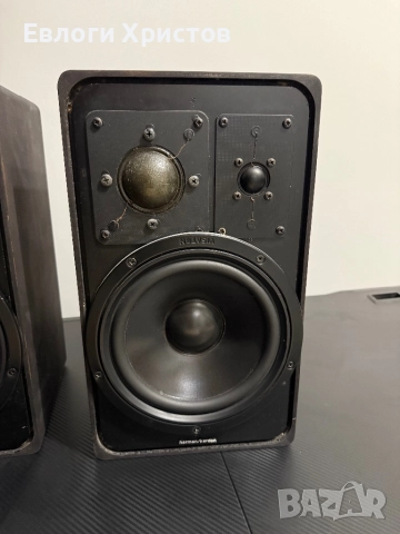 Тонколони Braun 1003, снимка 3 - Тонколони - 52254750