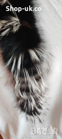 Яка от естествен косъм., снимка 5 - Други - 47643390