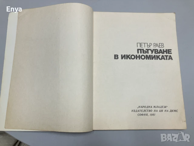 Пътуване в икономиката - Петър Раев, снимка 2 - Детски книжки - 50896661