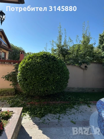 Градинарски услуги , снимка 2 - Градински цветя и растения - 33746141