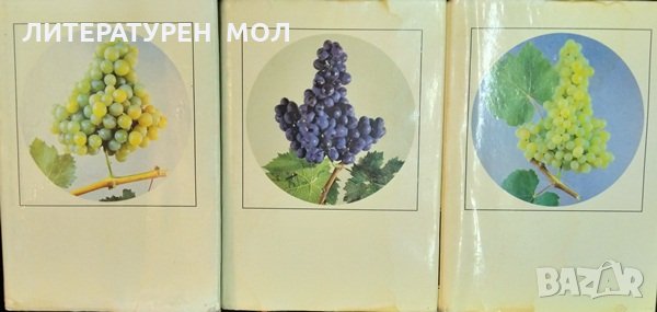 Энциклопедия виноградарства. Том 1-3, Руски език 1986 г, снимка 7 - Специализирана литература - 32539471