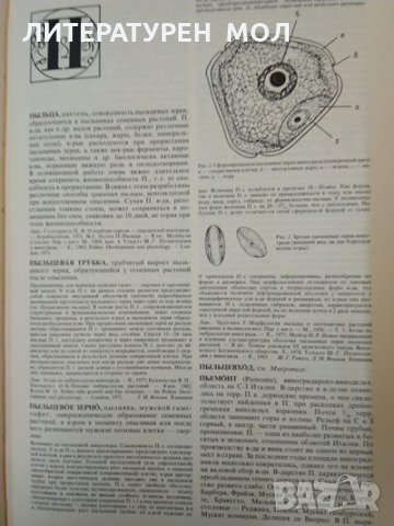 Энциклопедия виноградарства. Том 1-3, Руски език 1986 г, снимка 5 - Специализирана литература - 32539471