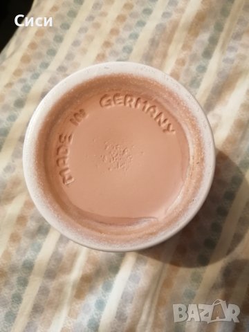 Кашпа германска, снимка 3 - Стайни растения - 38143308