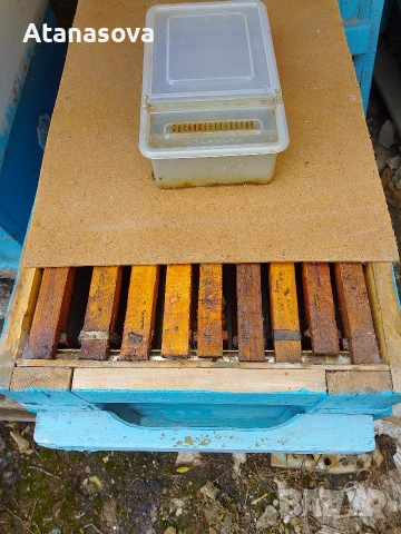 Пчелни кошери от военни сандъци, снимка 4 - Други животни - 53355959