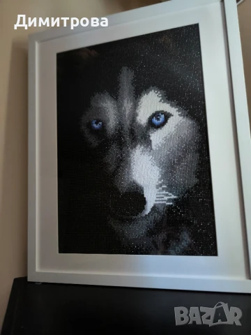 Диамантен гоблен Хъски , снимка 2 - Гоблени - 50645904