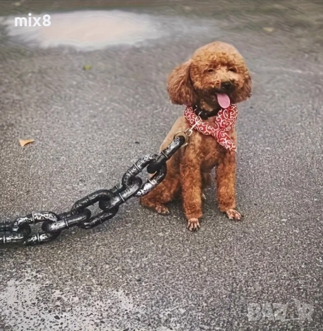 Забавна верига за малко куче с голям карабинер , снимка 4 - За кучета - 52281643
