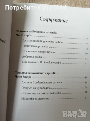 Тайната на Божието Царство / Красимир Мирчев , снимка 3 - Художествена литература - 50172384