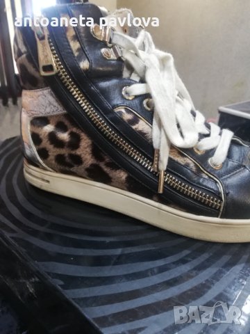 Кецове леопард на Кавали, снимка 8 - Кецове - 40584155