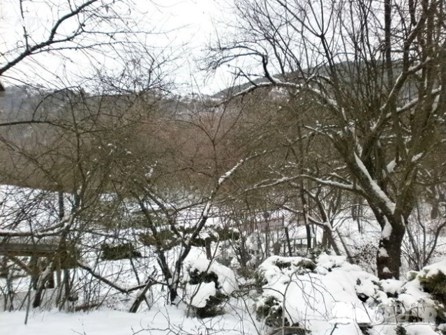 Продава ВИЛА, област София, с.Ромча, снимка 10 - Вили - 53469887