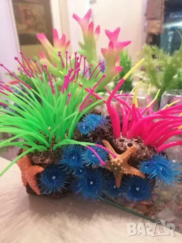 Продавам силиконови риби, корали. , снимка 5 - Оборудване за аквариуми - 47767680