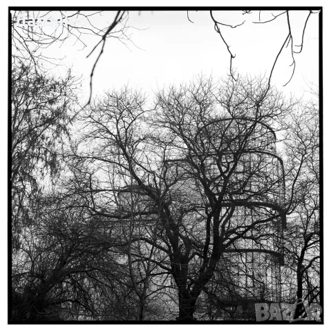 Авторски постери  Лимитирани серии  Размери по избор, снимка 9 - Картини - 47540497