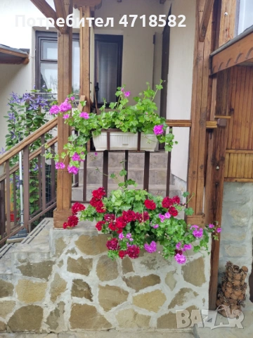 Продавам имот – две автономни къщи в един двор , община Ловеч, село Дойренци, снимка 2 - Къщи - 53218401