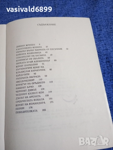 Ради Царев - Бързоноги другари , снимка 5 - Българска литература - 52952802