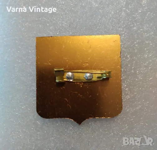 Значка Герб на Русия., снимка 2 - Колекции - 50260309