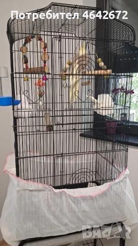 ОБЕЩАН!!! Корела с оборудвана клетка със стойка, снимка 4 - Папагали - 52809444