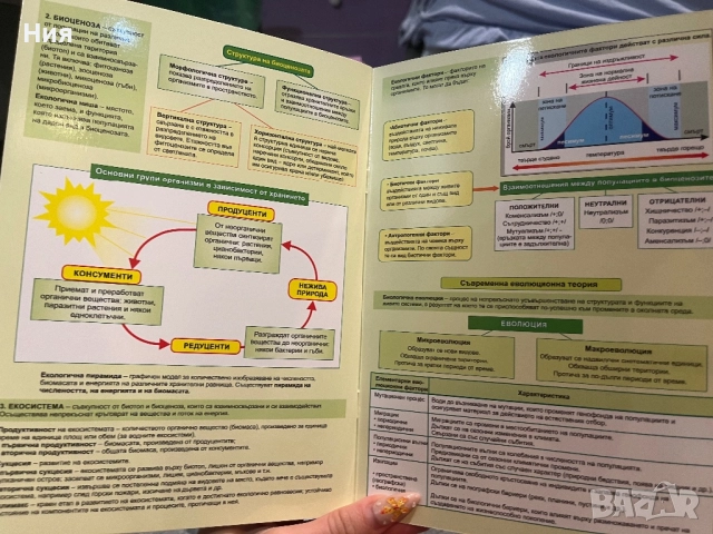 Помагалник по Биология- Домино, снимка 3 - Учебници, учебни тетрадки - 51598674