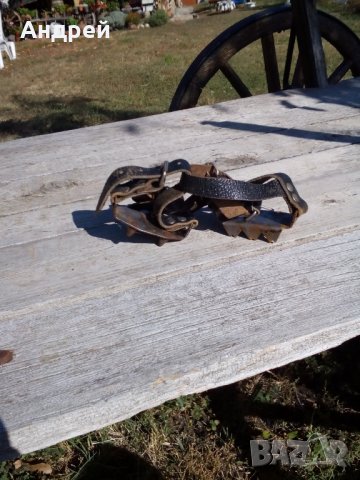 Стари котки #3