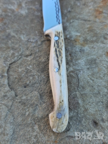 Ножче от еленски рог , снимка 9 - Ножове - 52113439