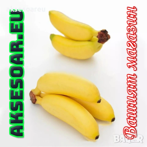 50 бр. Семена от Бонсай бананово дърво екзотични редки плодове палма за декорация на градината, снимка 7 - Сортови семена и луковици - 53258880