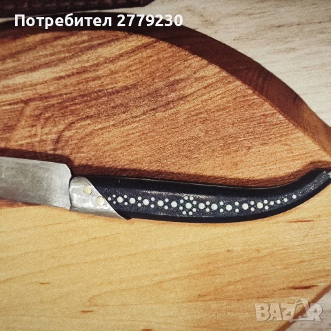 Стара сойка от Костенец на К.Попадийн, снимка 2 - Други ценни предмети - 51253515