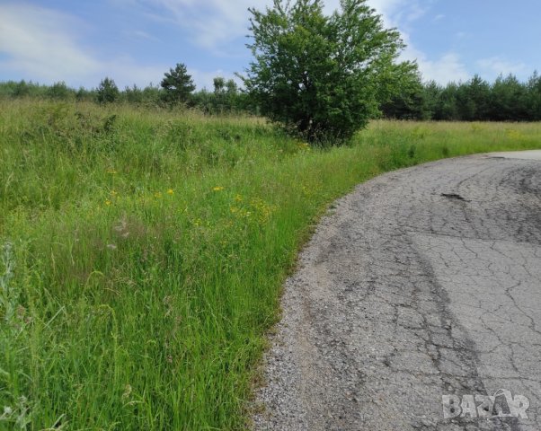 Продава поземлен имот в с.Плана, район Панчарево, снимка 4 - Парцели - 39279777