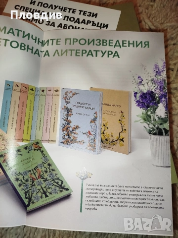 Гордост и предразсъдъци , снимка 4 - Художествена литература - 53574909