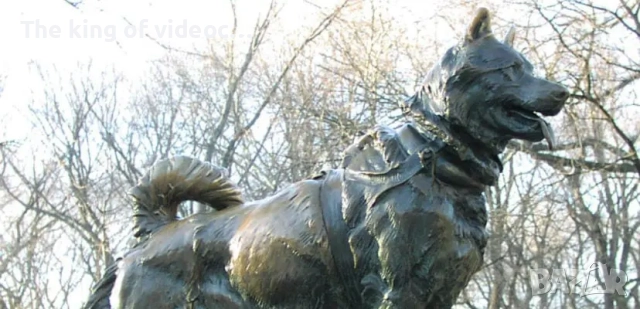 Видеокасети Балто ( трилогия ) VHS, снимка 17 - Анимации - 52423600