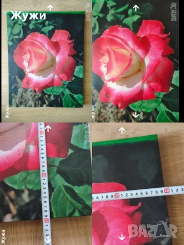 РАЗЛИЧНИ НОВИ стоки за дома, снимка 6 - Картини - 49461271