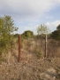 парцел, снимка 4
