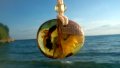 Ръчно изработена висулка от кехлибар, повдигаща настроението / Handmade amber pendant, uplifting, снимка 3