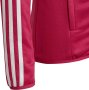 ADIDAS SPORTSWEAR Суитшърт Designed To Move 3-Stripes Fu HM4485ll-Zip, снимка 5