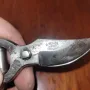 Малка билкарска ножица, снимка 1