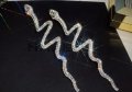 Кристални обеци,колекция"Snakes shine",white/нови, снимка 1 - Колиета, медальони, синджири - 39675181