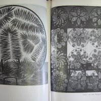 1982г. Книга Е И.Рогов- Изкуство с Кристално Стъкло, снимка 8 - Други - 44027967