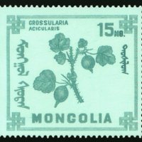Диви горски плодове на Монголия-8 марки, 1968 г., Монголия, снимка 4 - Филателия - 27971987