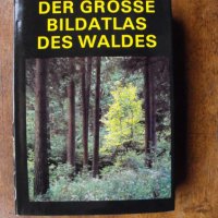 Der Grosse Bildatlas des Waldes /на немски език/, J.Jenik., снимка 1 - Енциклопедии, справочници - 39564724