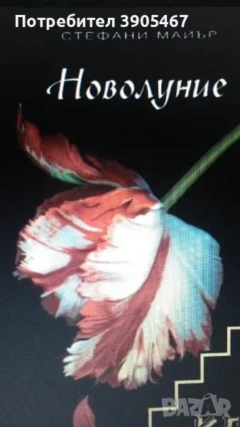 НОВОЛУНИЕ, снимка 1