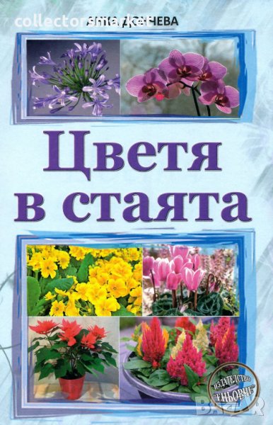 Цветя в стаята, снимка 1