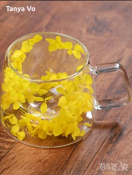 Стъклена Термо Чаша Двойно Дъно и Естествени Сухи Цветя , снимка 1