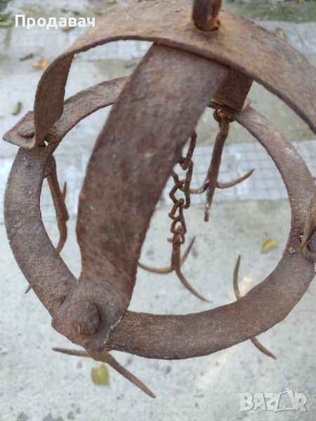 Ченгел (котка) , снимка 1